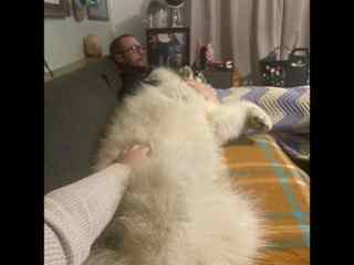 Couch cuddles