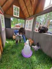 Tending to the chickens!