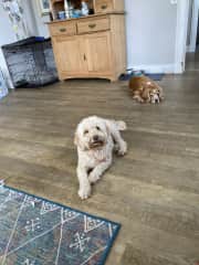 Mother and son!