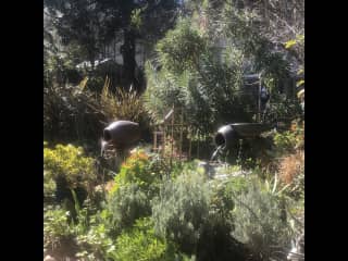 Water features in the back yard. Wee designed and installed these. They are on a timer and start in the morning and turn off in the evening.