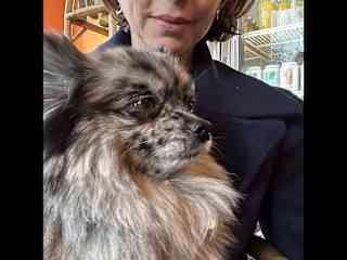 This little chap was in a dog cafe in South Ken.