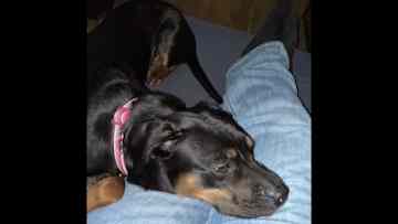Big sleepy time girl