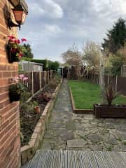 Garden with Magnolia tree