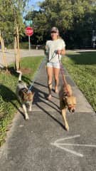 Love big dogs!