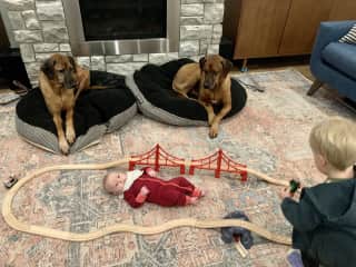 They are very relaxed and love to watch Oliver play with Charlotte and his train set.