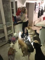 me with pets