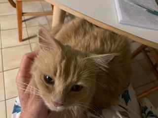 Morning lap time.