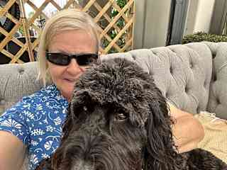 Dog sitting, Lottie,  a three year old cockerpoo.