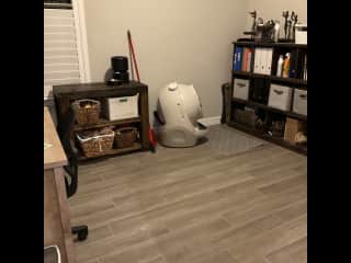 Study (or we call it pet room)