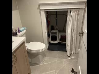 downstairs bathroom with cat litter boxes in nook