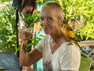 Sammy is our oldest and most tame bird. He goes where Mieke goes and has his own cage, just for the night sleep, on the terrace.