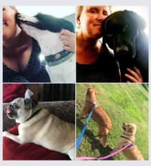 TrustedHouseSitter friends, RI, CT & Nantucket