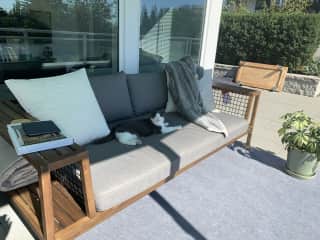 Outdoor patio funature with Parker enjoying some sun