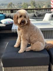 Jasper, on the outdoor furniture, which is OK :)