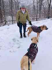 Walking Arlo and lLenny