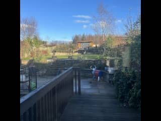 Looking on to the garden