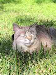 She loves the outdoors