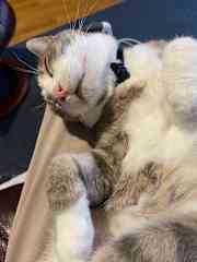 Teaching relaxation