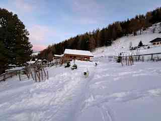 Garden looking towards the chalet.  Winter