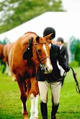 An accomplished Equestrian for decades