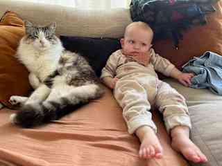 Miso and Cade in California