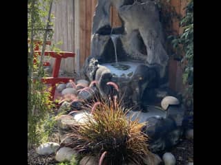 Water Fountain in the back yard