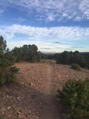 Trail behind house on ridge.