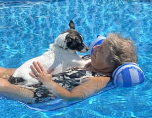 One of our fosters, Indi, and I enjoying some pool time together at home
