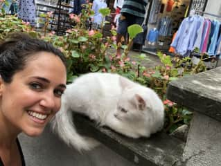 A cat I came across while running through Positano.