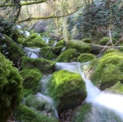 Lovely hike 10 minutes walk from our house. This hike leads right into Piazza Obelisco and downtown.