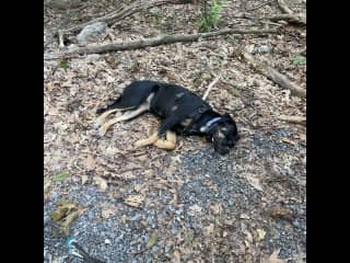 After 5 mile hike