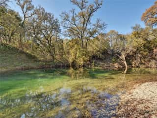 Onion Creek frontage begging you to visit on a hot summer day!