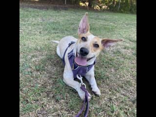 Happy girl