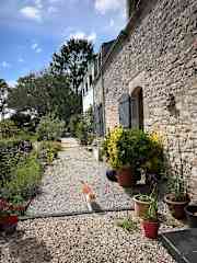 The full length of both terraces with flower borders and Jasper coming home