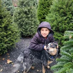 My son with a friend's pup.