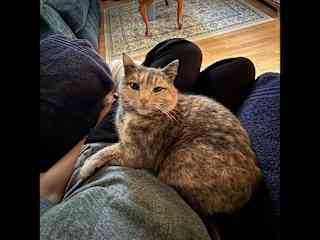 Sitting this cute lady for my grandparents. - Creston, WA.