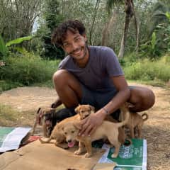Some 15 abandoned puppies I helped rescue with the Soi Dog Foundation in Thailand