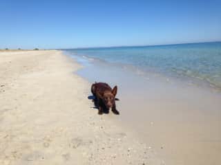 Playing on the beach