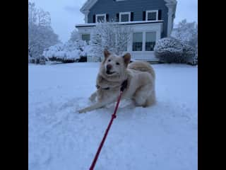 Snow lover!