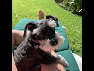Relaxing in Mexico