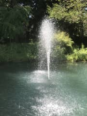 Natural swimming pond