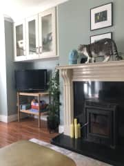 Turf fire