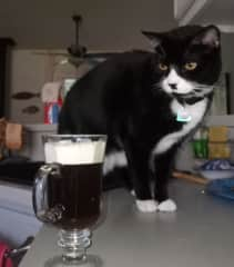 Baby wants some Irish coffee??