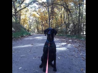 Edgar posing while walking in the neighborhood.