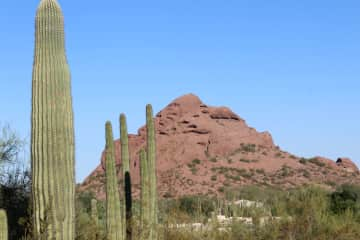 Desert Botanical Garden, only about 20 min by car.