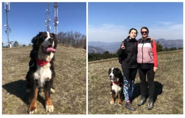 a friend's dog, me and my friend on a mountain hike