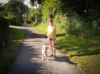 Dog Sitting in Brittany France