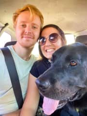 Volunteering in an animal shelter in Costa Rica, Dec 2021