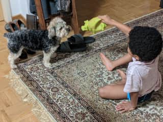Play time with Princeton
