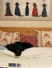 And beds !